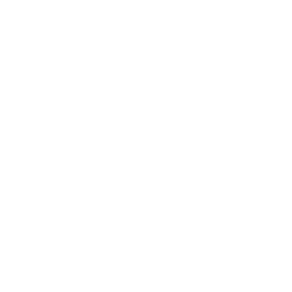 Partner 3